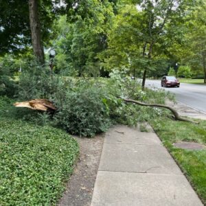Storm-Clean-Up-Tree-Limb-Down-Meridian-Kessler-Butler-Tarkington-Broad-Ripple-Indianapolis